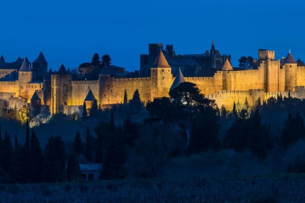 Le Panoramique - Sublime Vue Sur La Cite Apartment Carcassonne Exterior photo